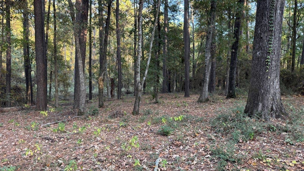 0.26 acres in Texas County gallery image 3