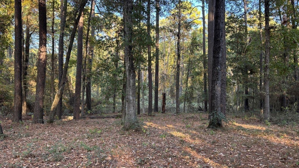 0.26 acres in Texas County gallery image 2