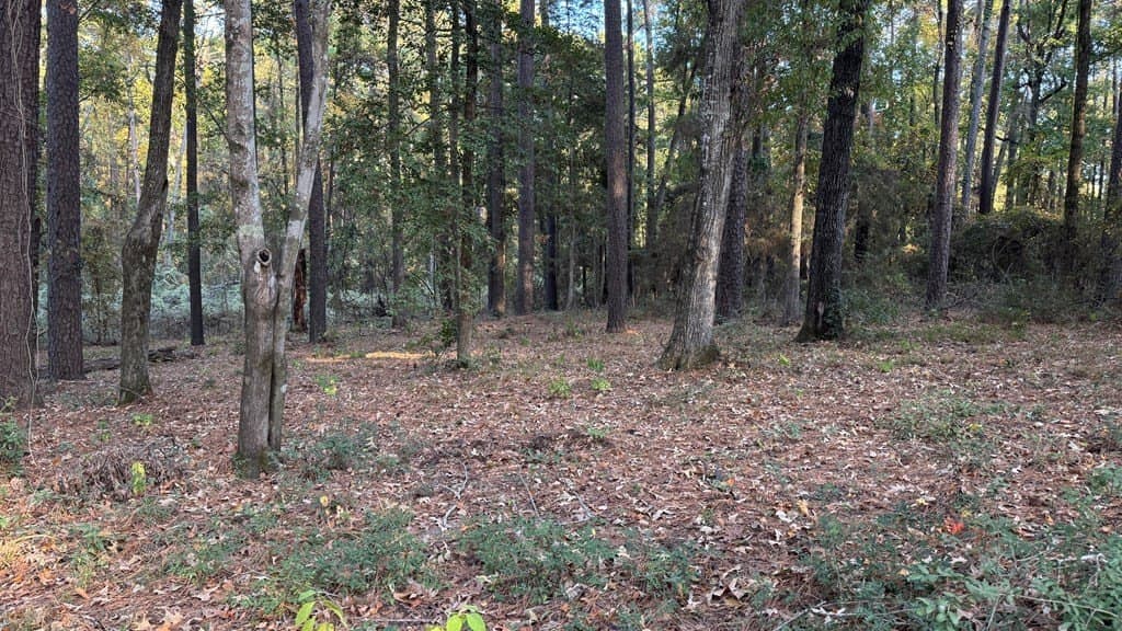 0.26 acres in Texas County gallery image 4