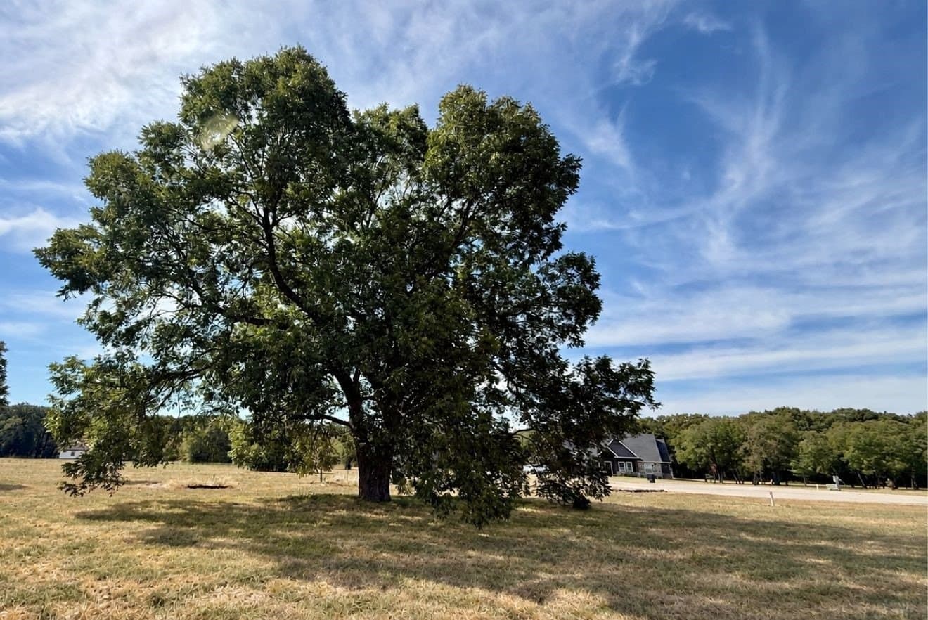 1.04 acres in Navarro County - photo 23