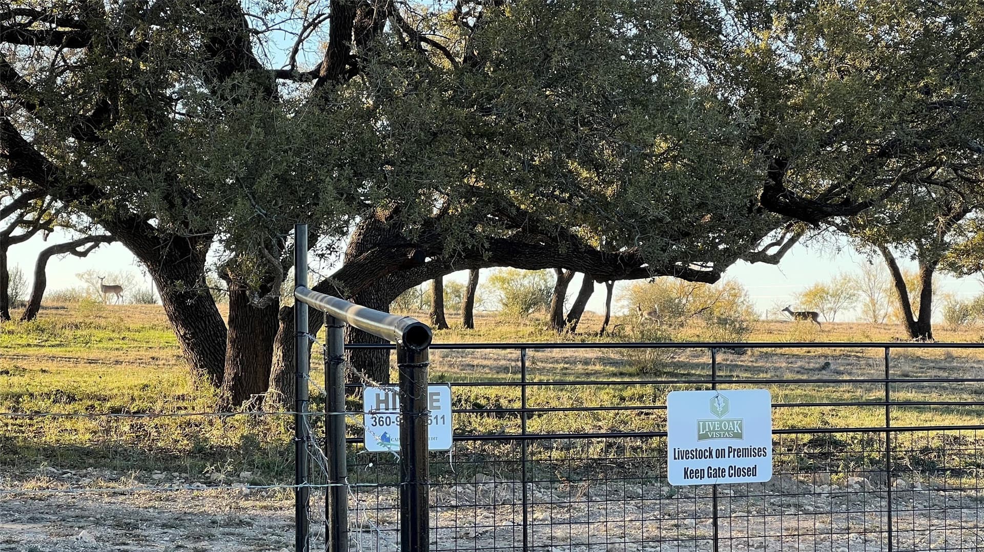 20.03 acres in Mills County