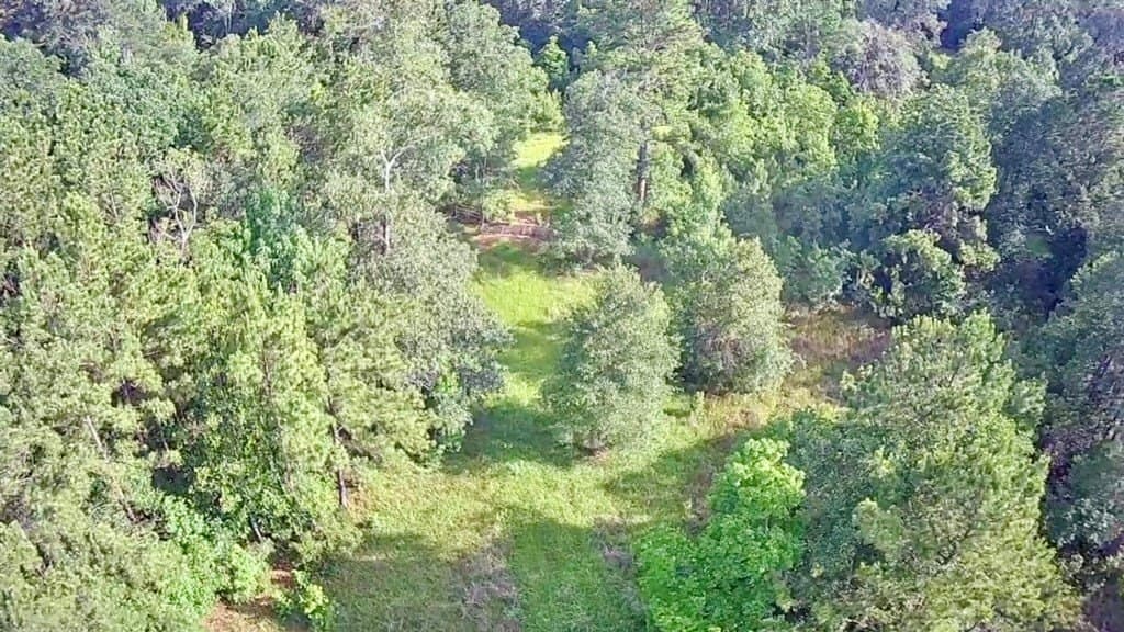 15.38 acres in Texas County - photo 6