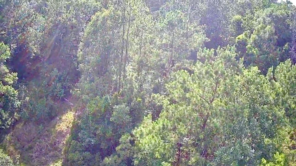 15.38 acres in Texas County - photo 9
