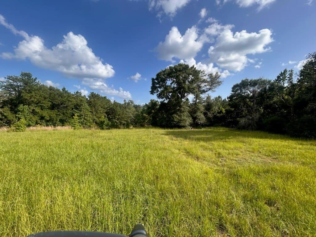 15.38 acres in Texas County - photo 16