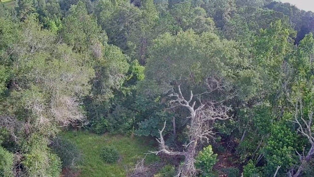 15.38 acres in Texas County - photo 11