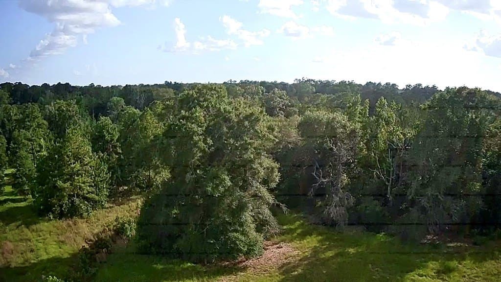 15.38 acres in Texas County - photo 12