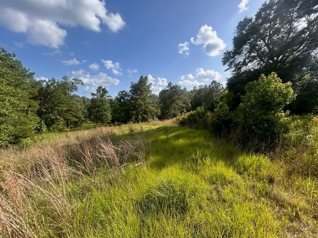 15.38 acres in Texas County gallery image 4