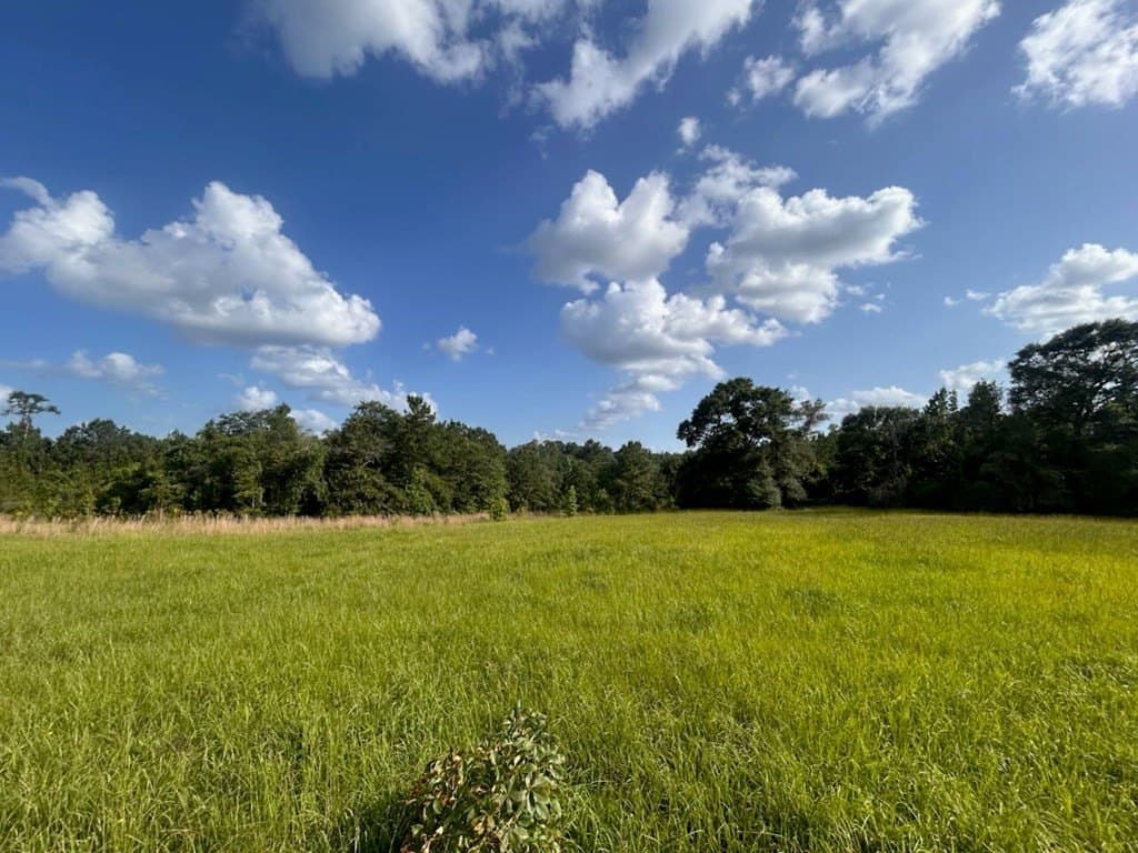 15.38 acres in Texas County - photo 15