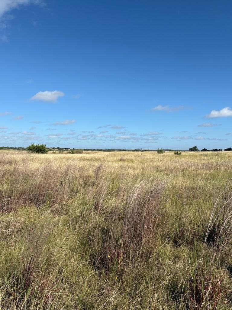 10 acres in Gillespie County - photo 7