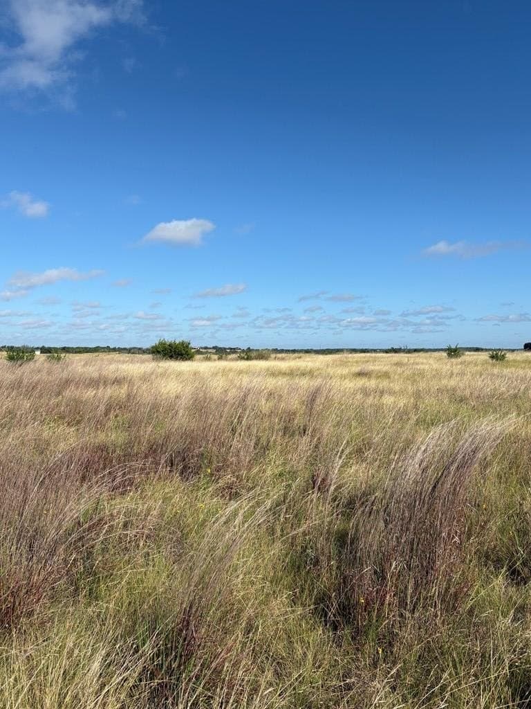 10 acres in Gillespie County - photo 6