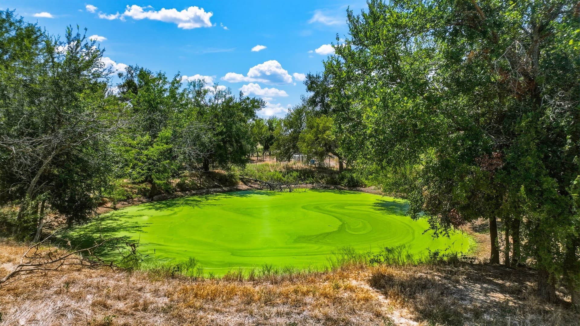 9.08 acres in Parker County - photo 36