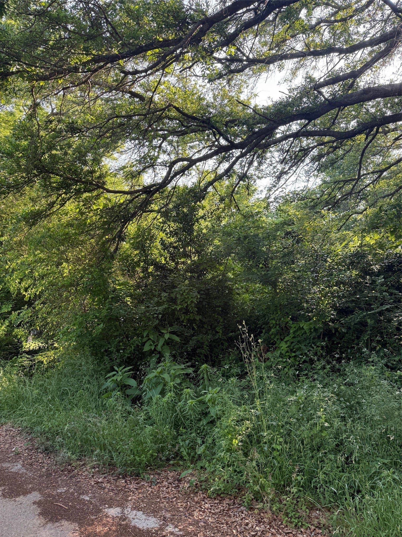 0.16 acres in Henderson County gallery image 2