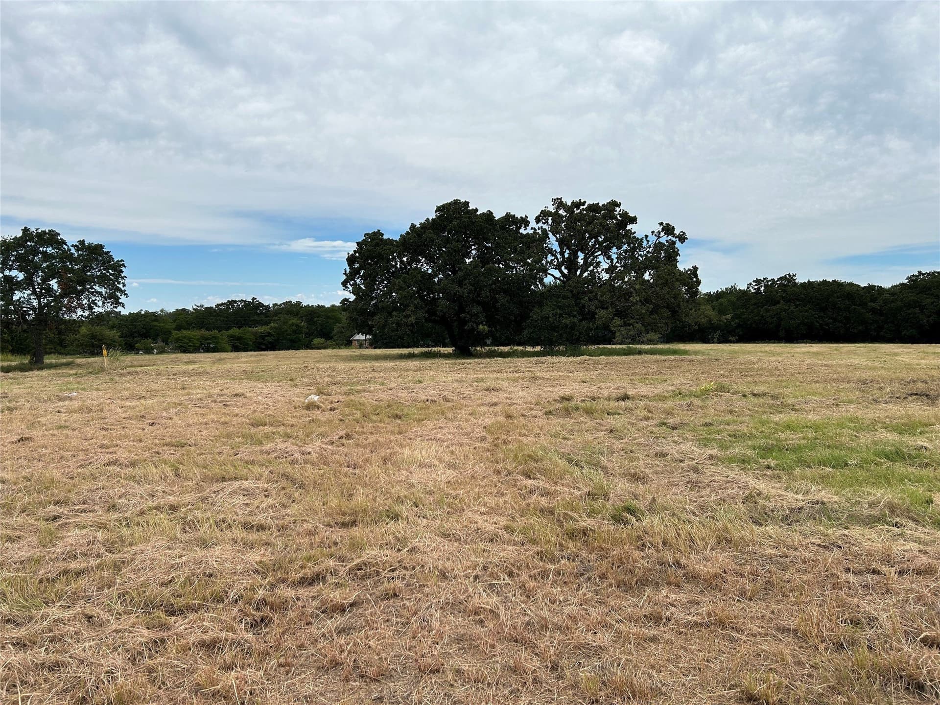 4.03 acres in Wise County gallery image 4