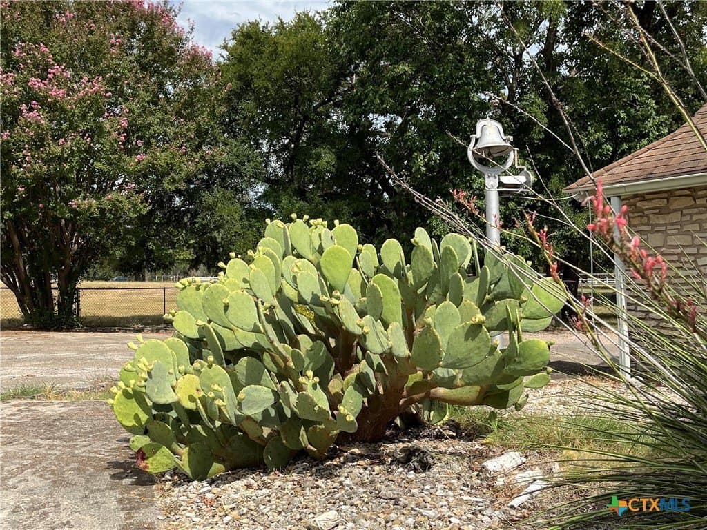 113.38 acres in Lampasas County - photo 25