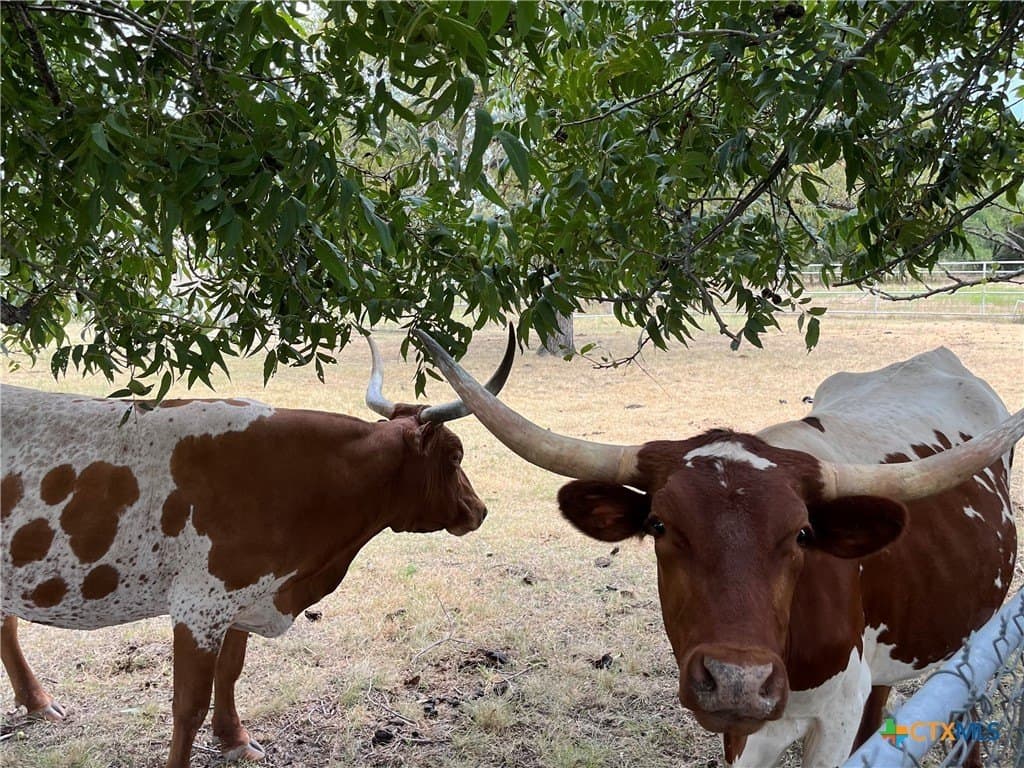 113.38 acres in Lampasas County - photo 20