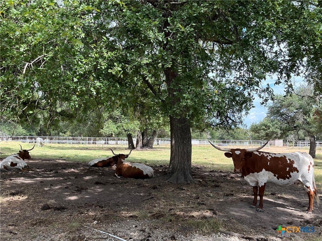 113.38 acres in Lampasas County - photo 19