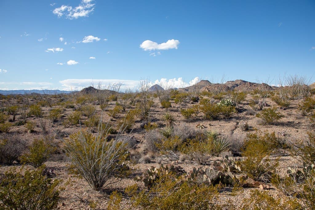 10.77 acres in Brewster County featured view