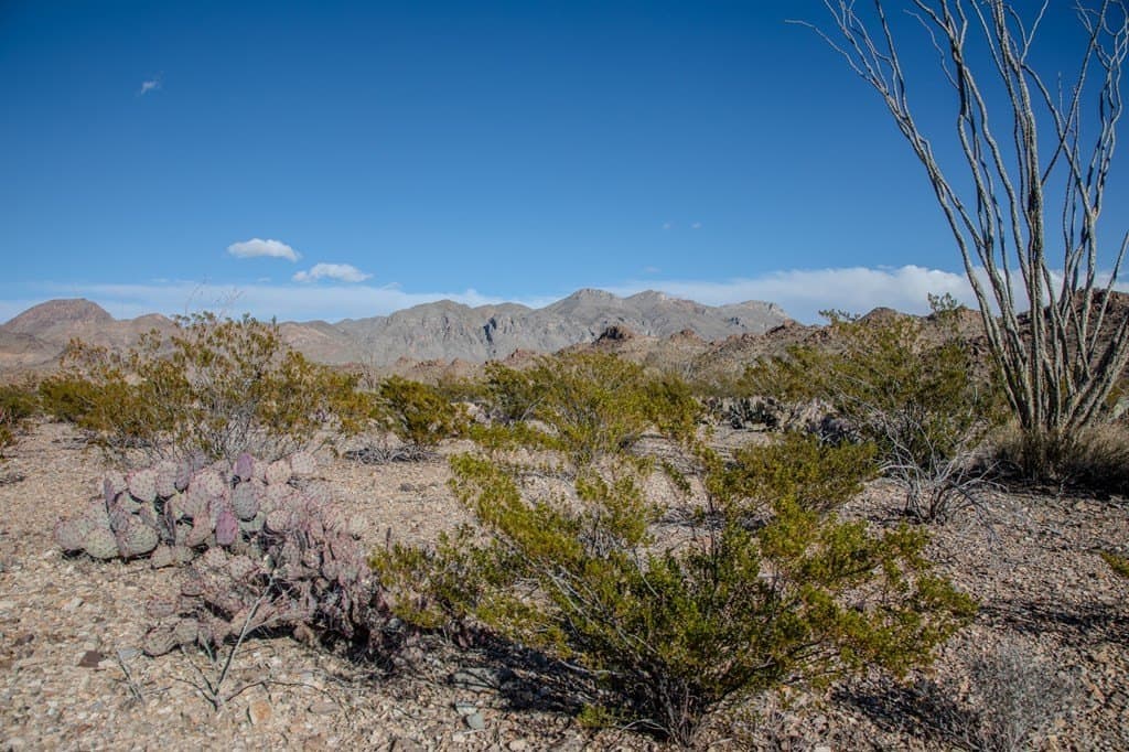 10.77 acres in Brewster County gallery image 2