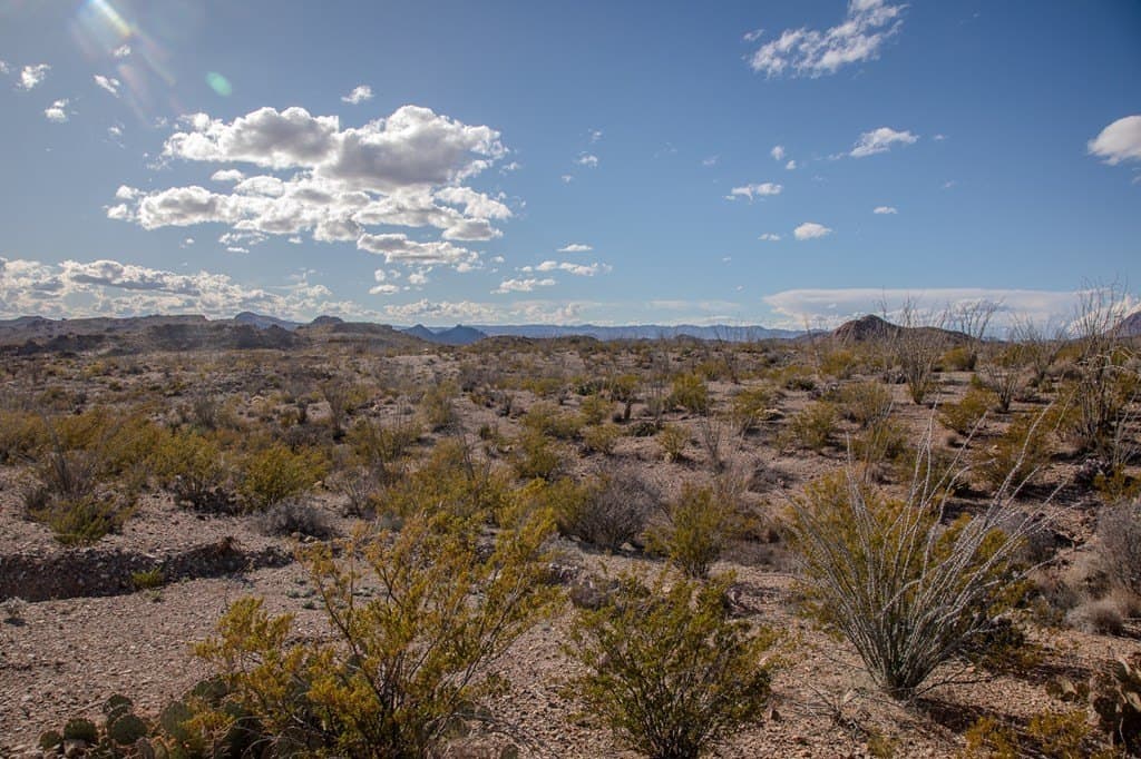 10.77 acres in Brewster County gallery image 4