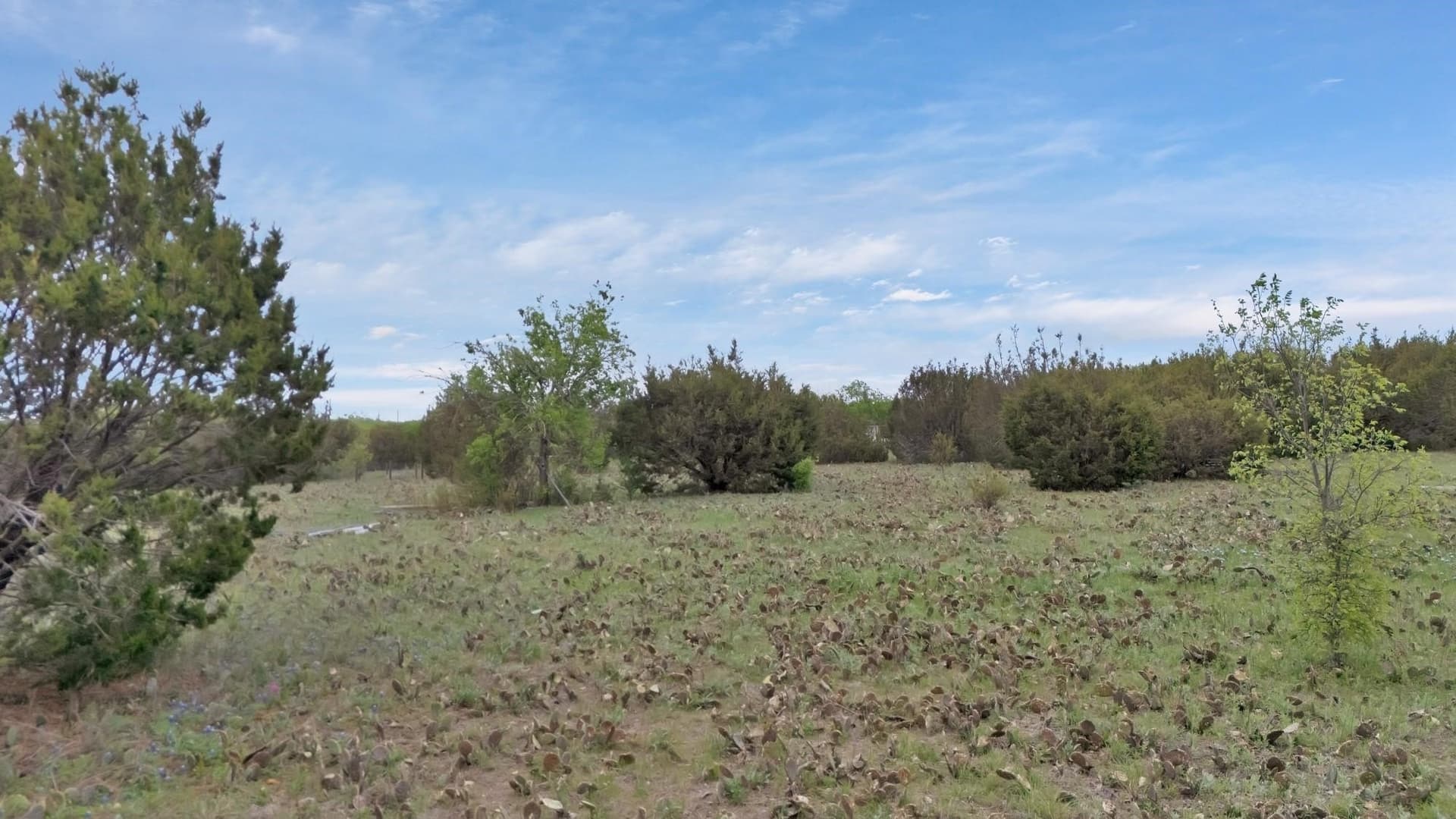 2.46 acres in Johnson County - photo 9