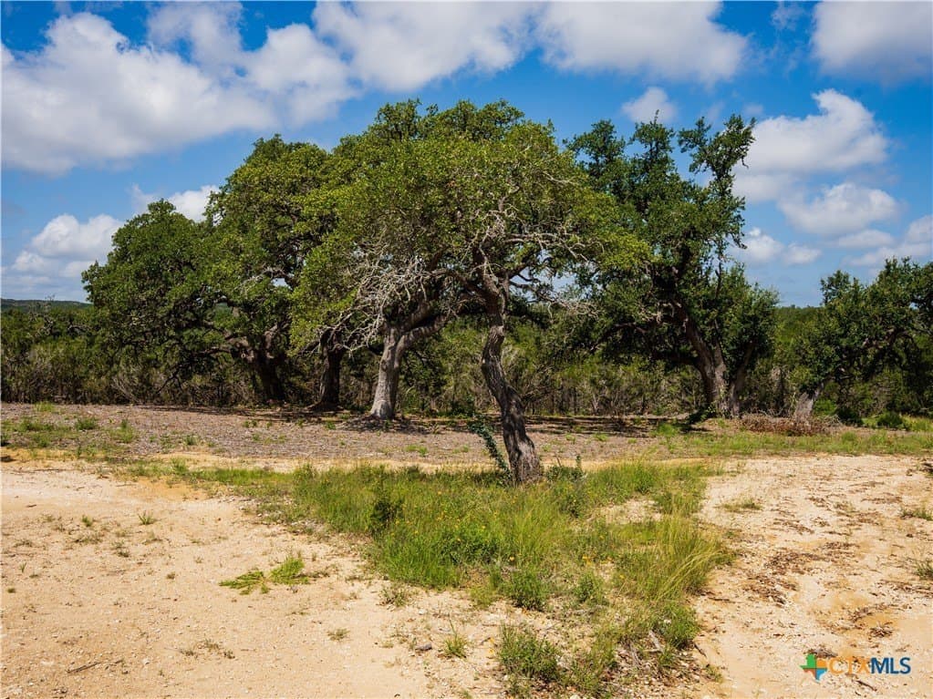 11.36 acres in Hays County gallery image 4