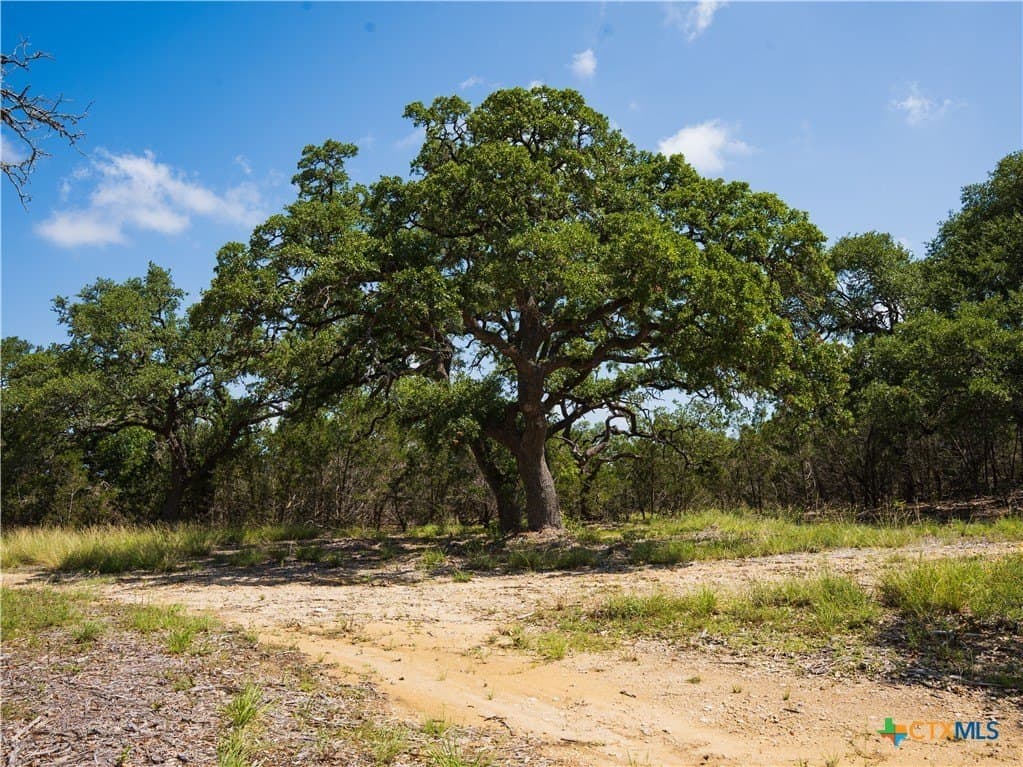 11.36 acres in Hays County gallery image 2