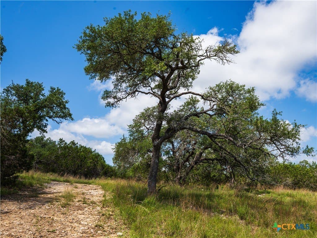 11.36 acres in Hays County gallery image 3