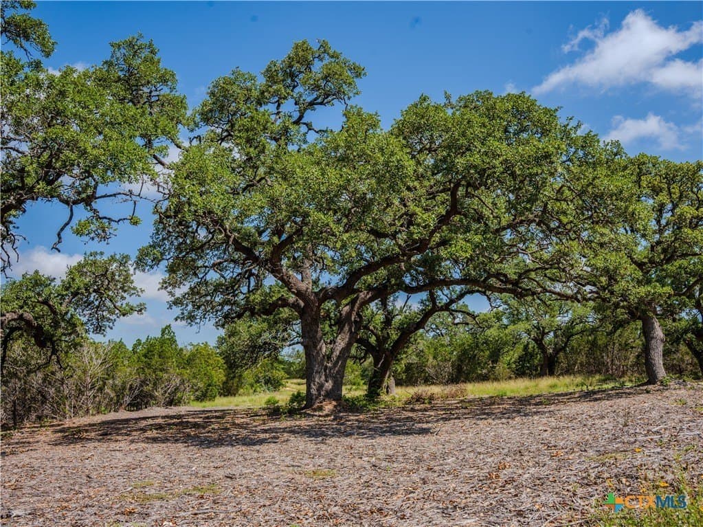 11.36 acres in Hays County featured view