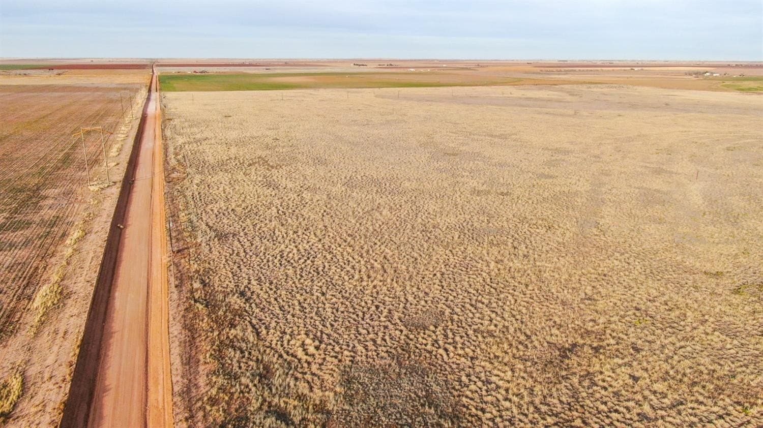 22.98 acres in Lubbock County gallery image 4