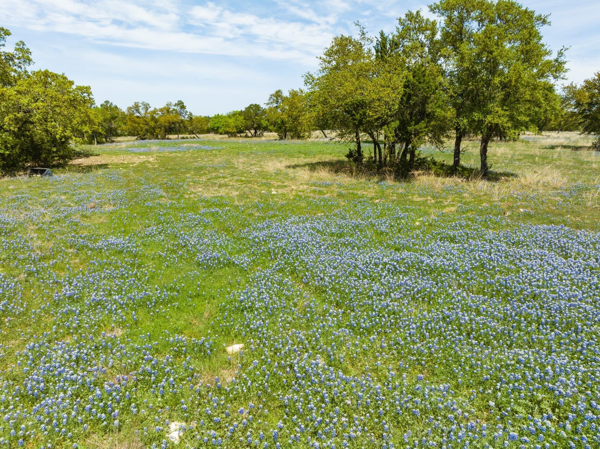 53.32 acres in Bosque County - photo 17