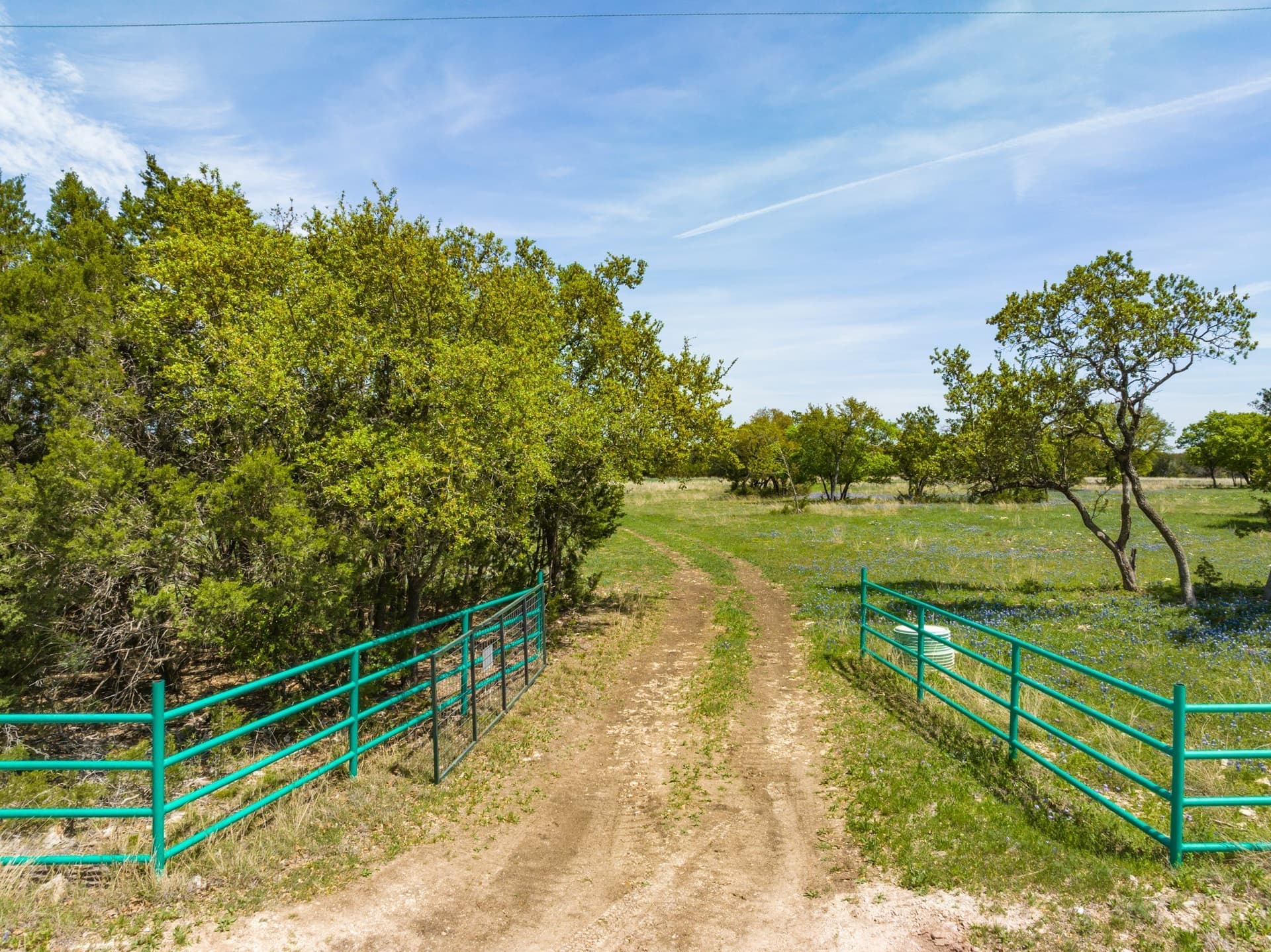 53.32 acres in Bosque County - photo 4