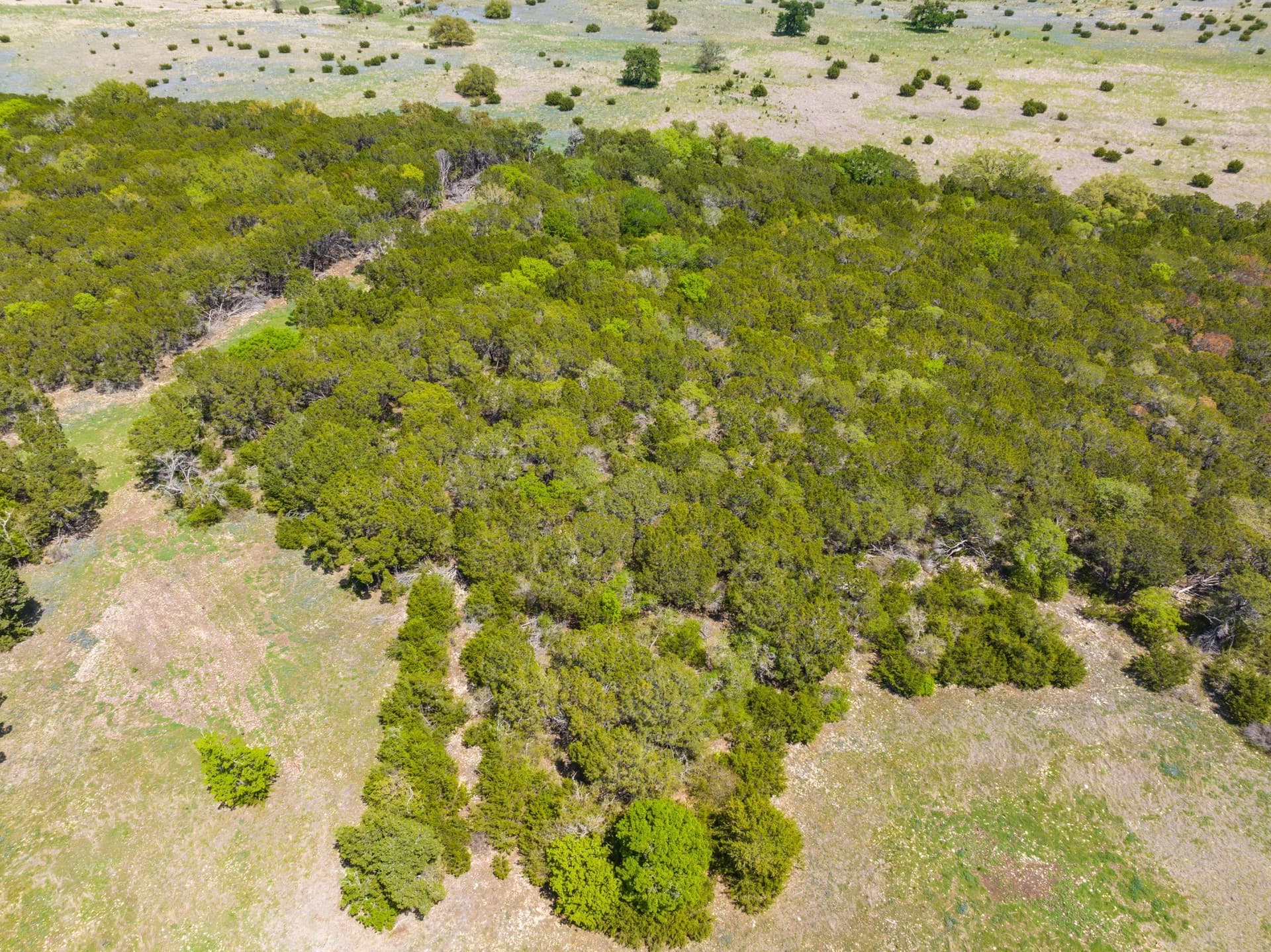 53.32 acres in Bosque County - photo 8