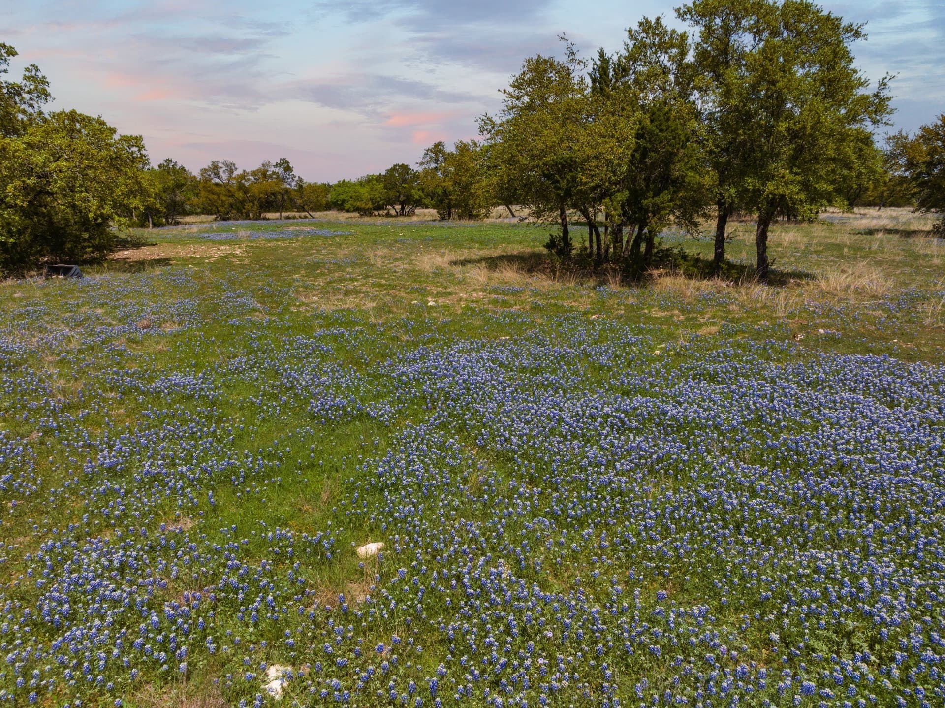 53.32 acres in Bosque County - photo 2