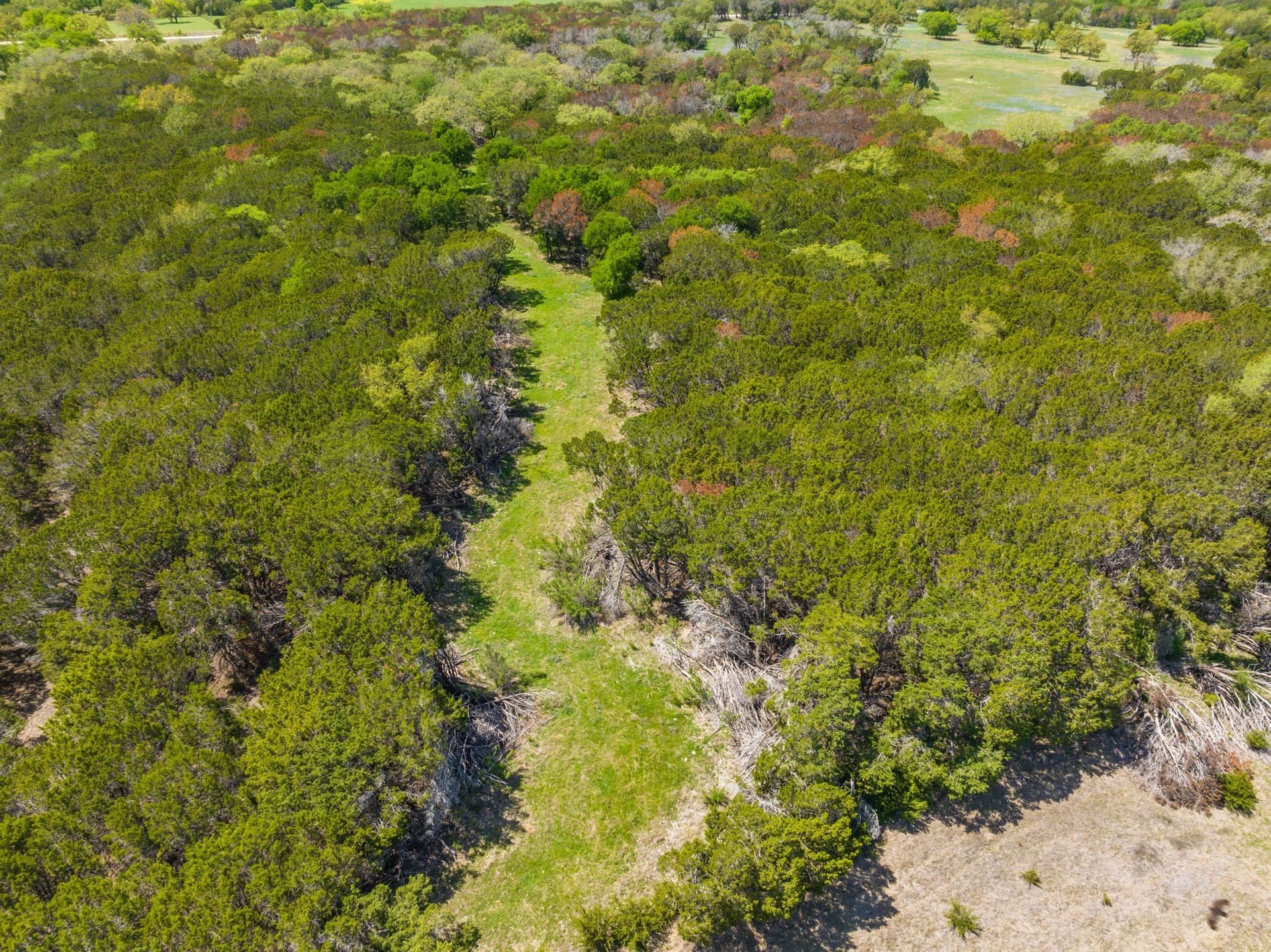 53.32 acres in Bosque County - photo 20