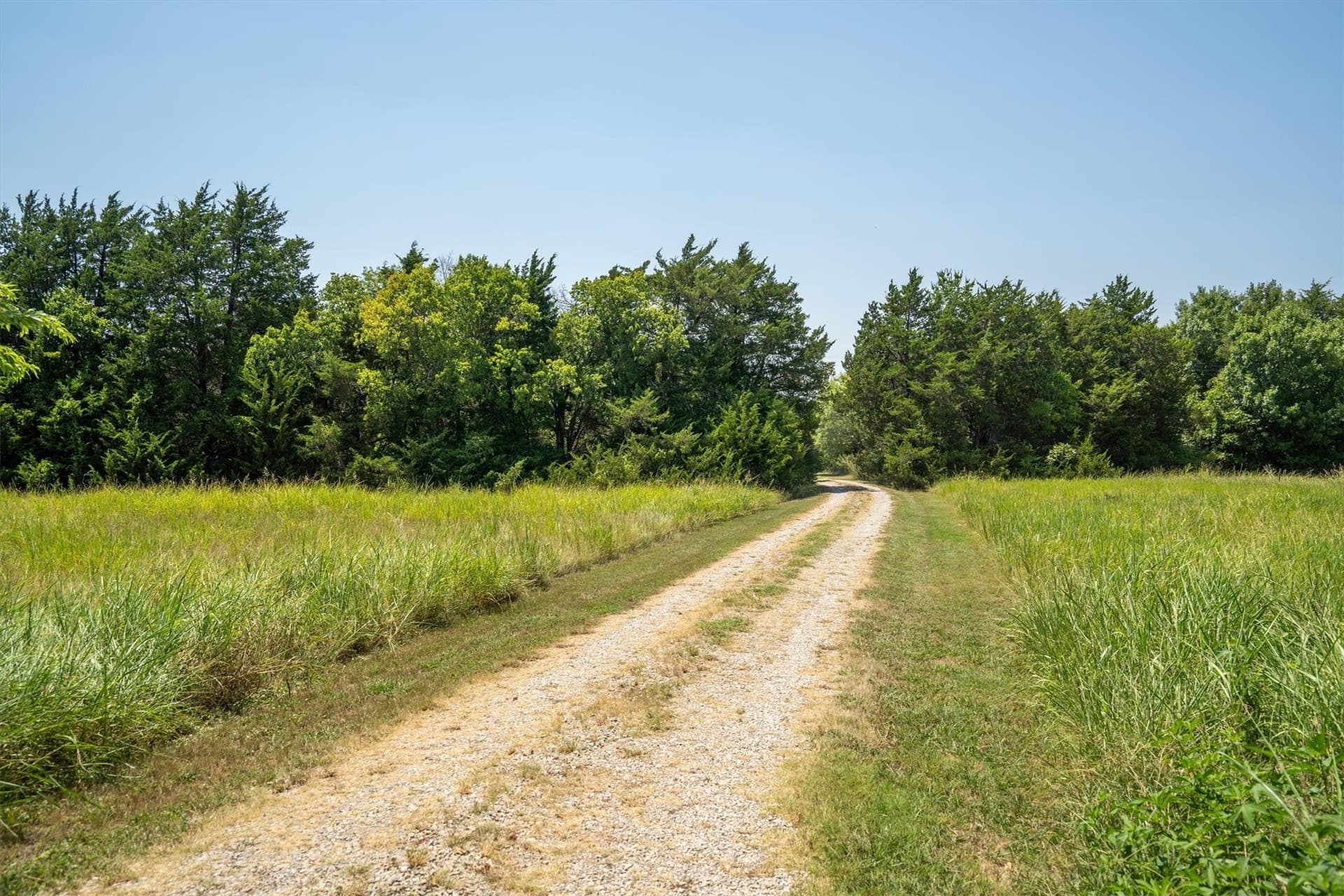10 acres in Collin County - photo 24