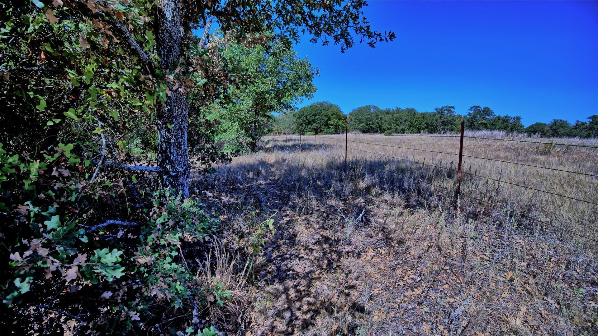 4 acres in Montague County - photo 6