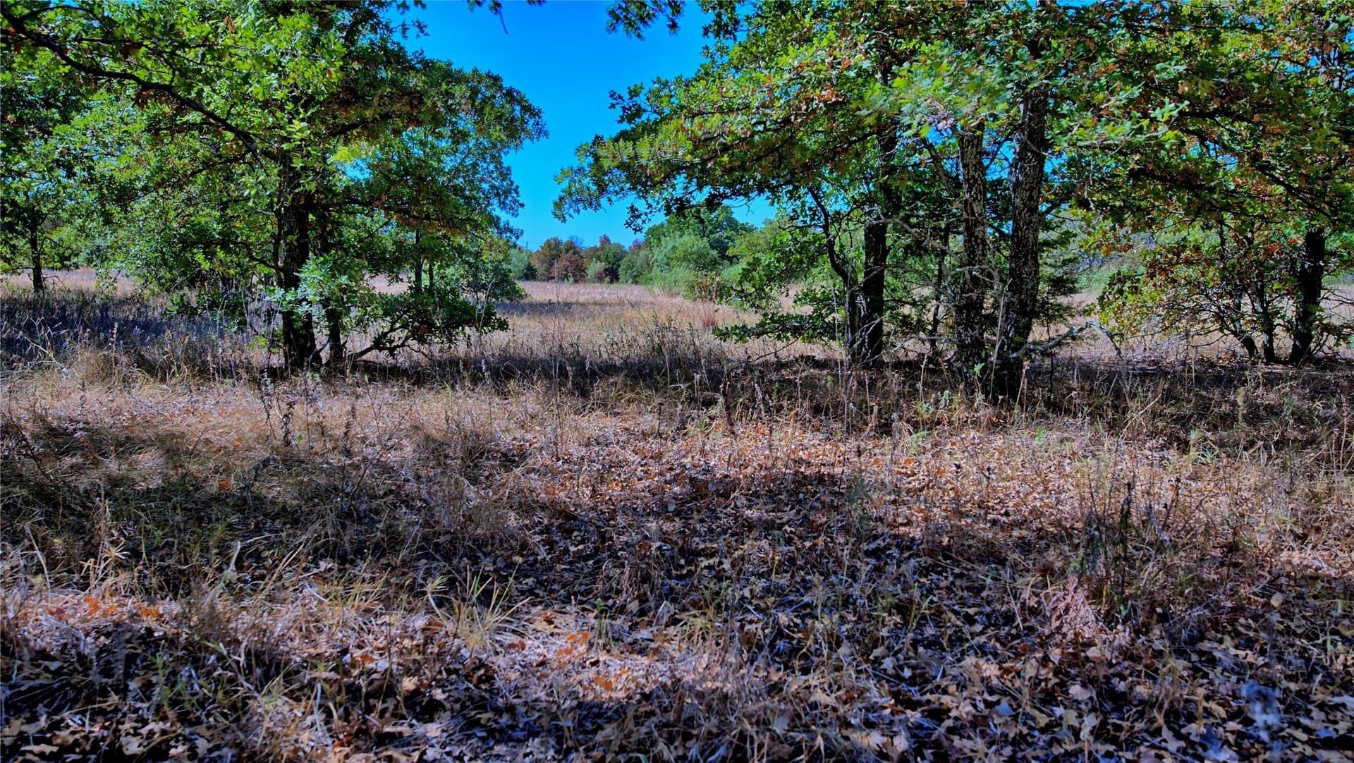 4 acres in Montague County - photo 9