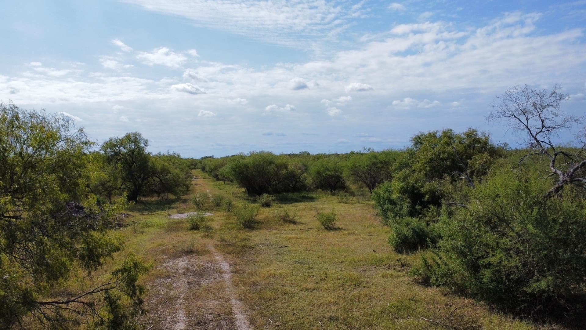 21 acres in San Patricio County - photo 13