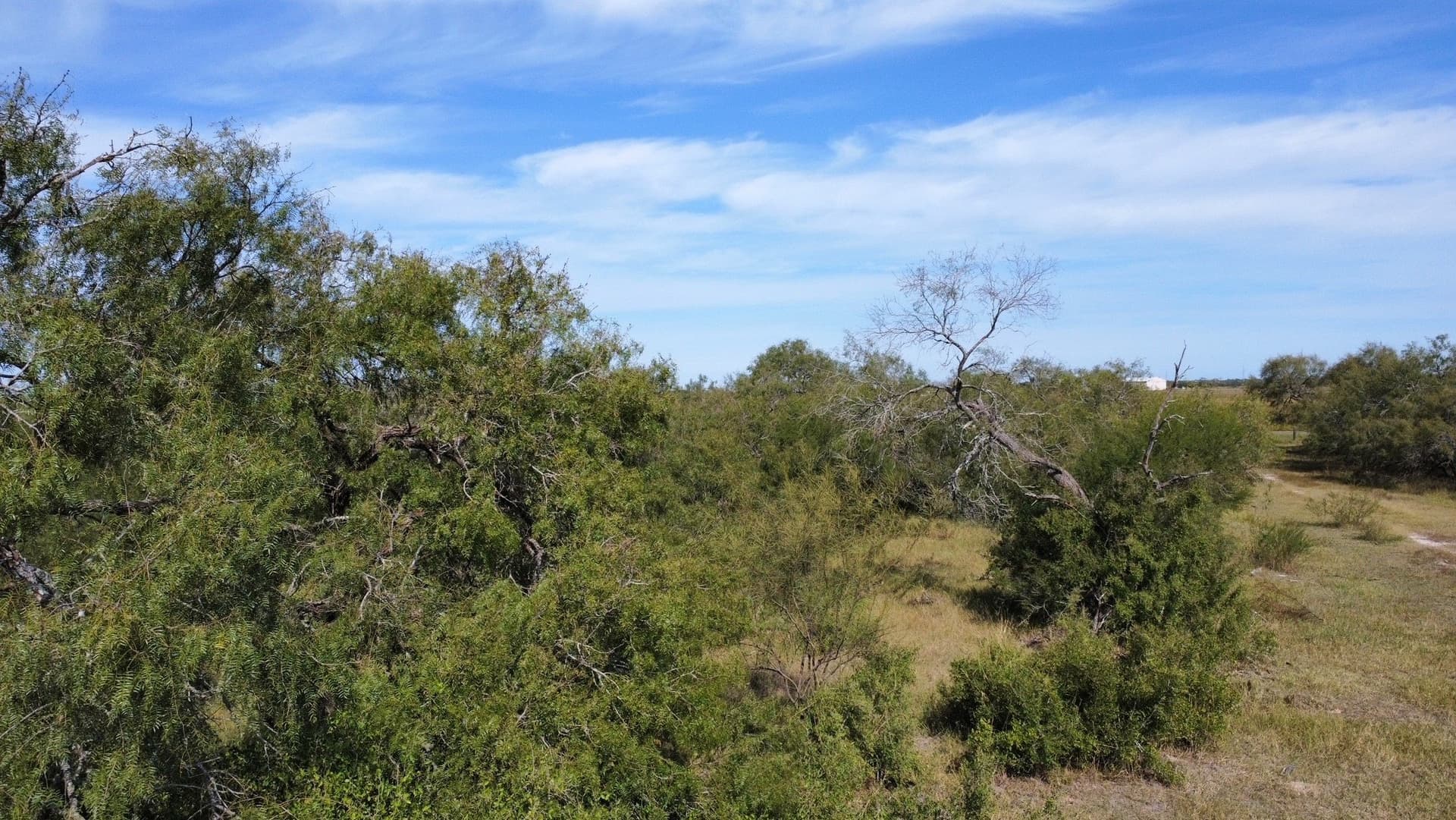 21 acres in San Patricio County - photo 15