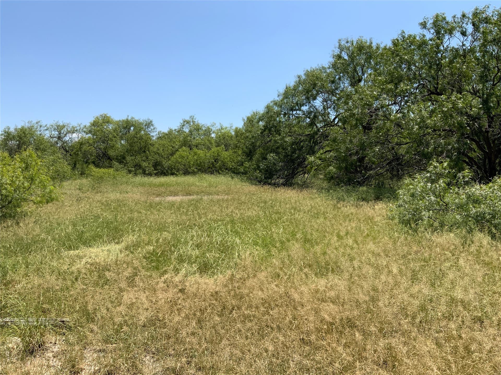 21 acres in San Patricio County - photo 7