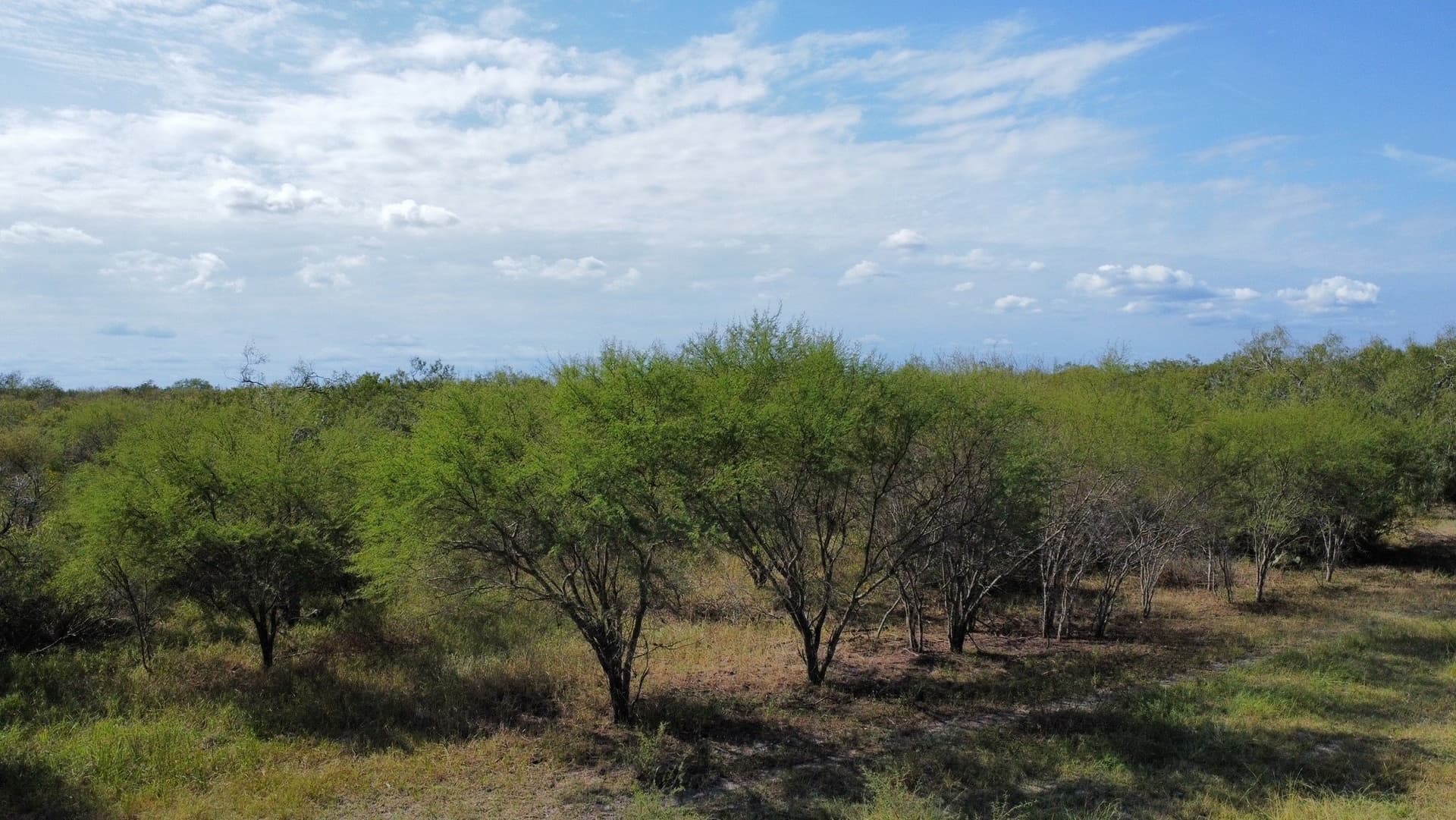 21 acres in San Patricio County - photo 16