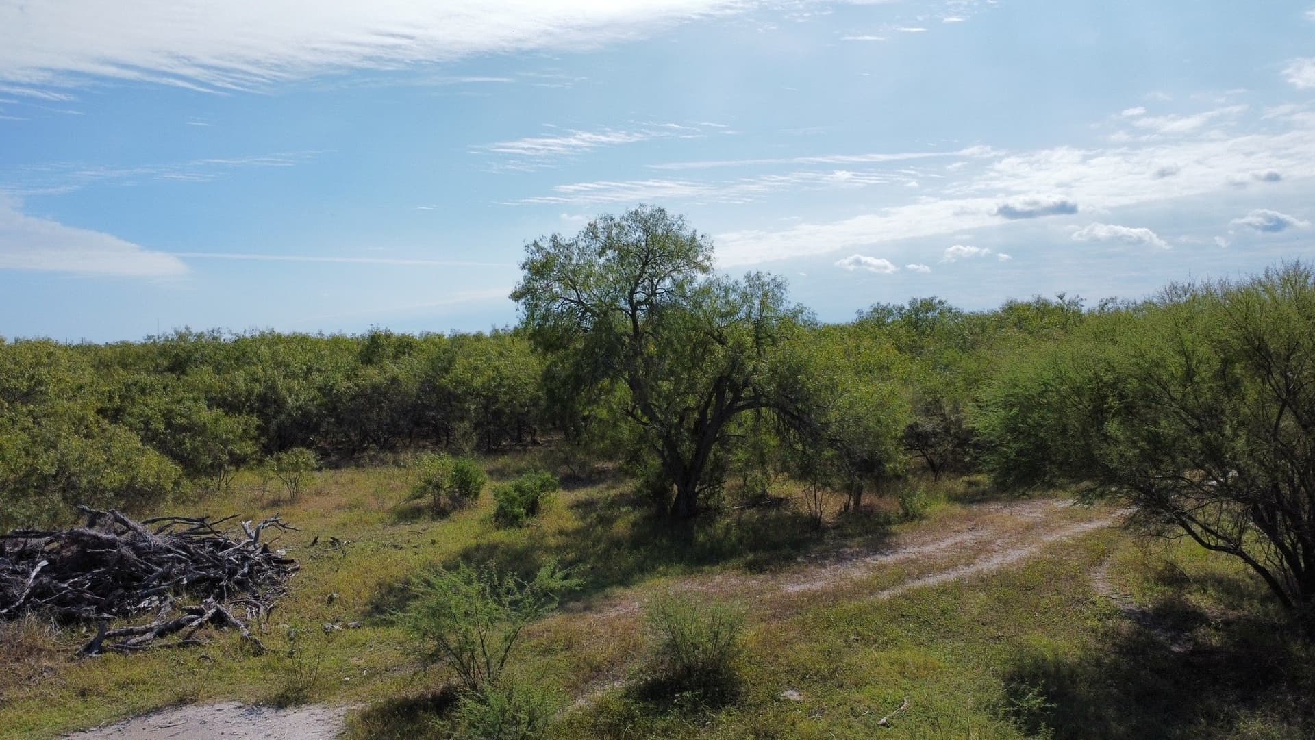 21 acres in San Patricio County - photo 14