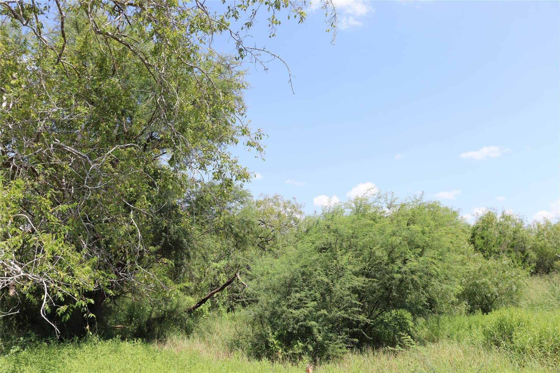21 acres in San Patricio County - photo 8