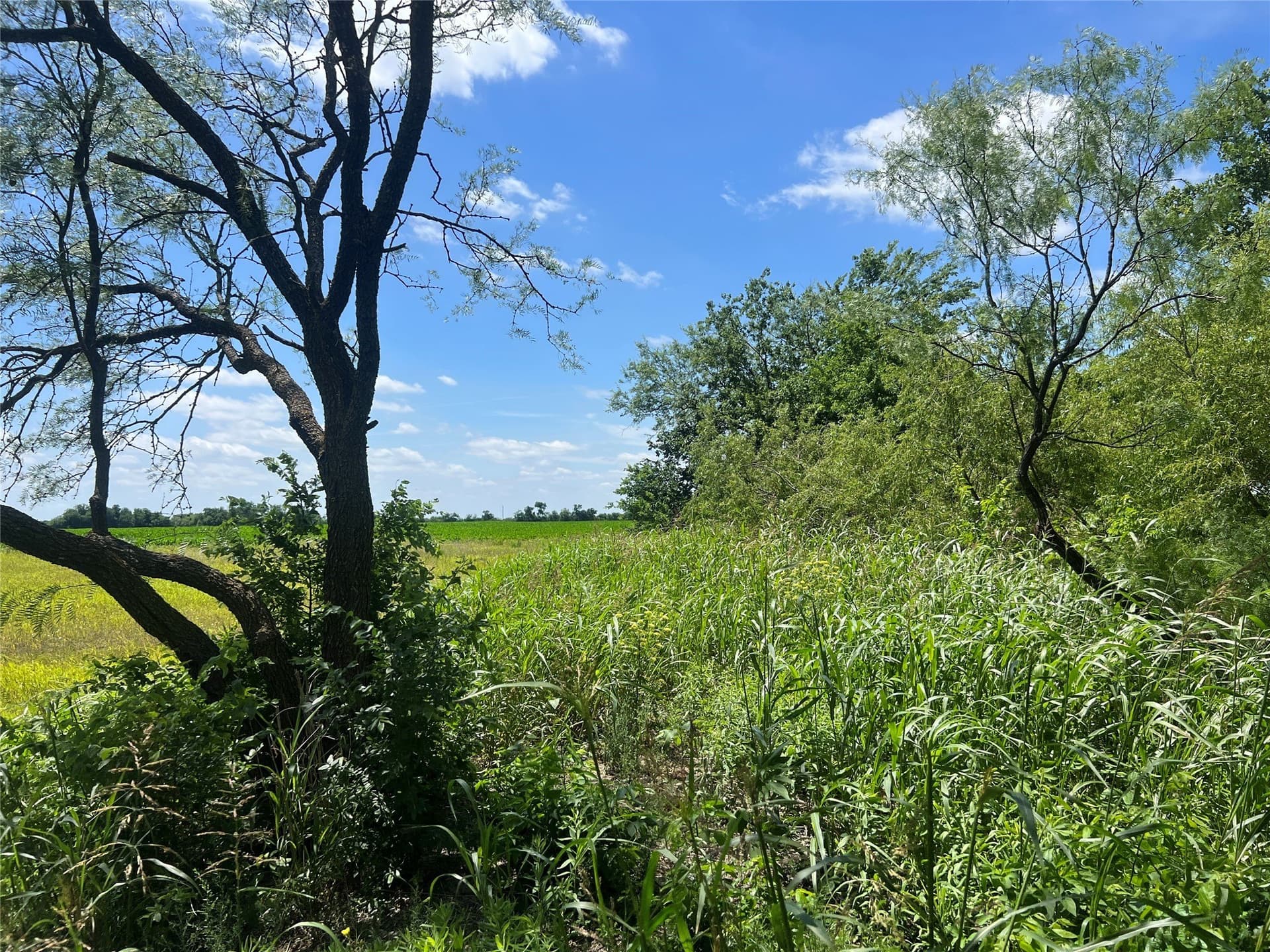 10.1 acres in Hill County - photo 11