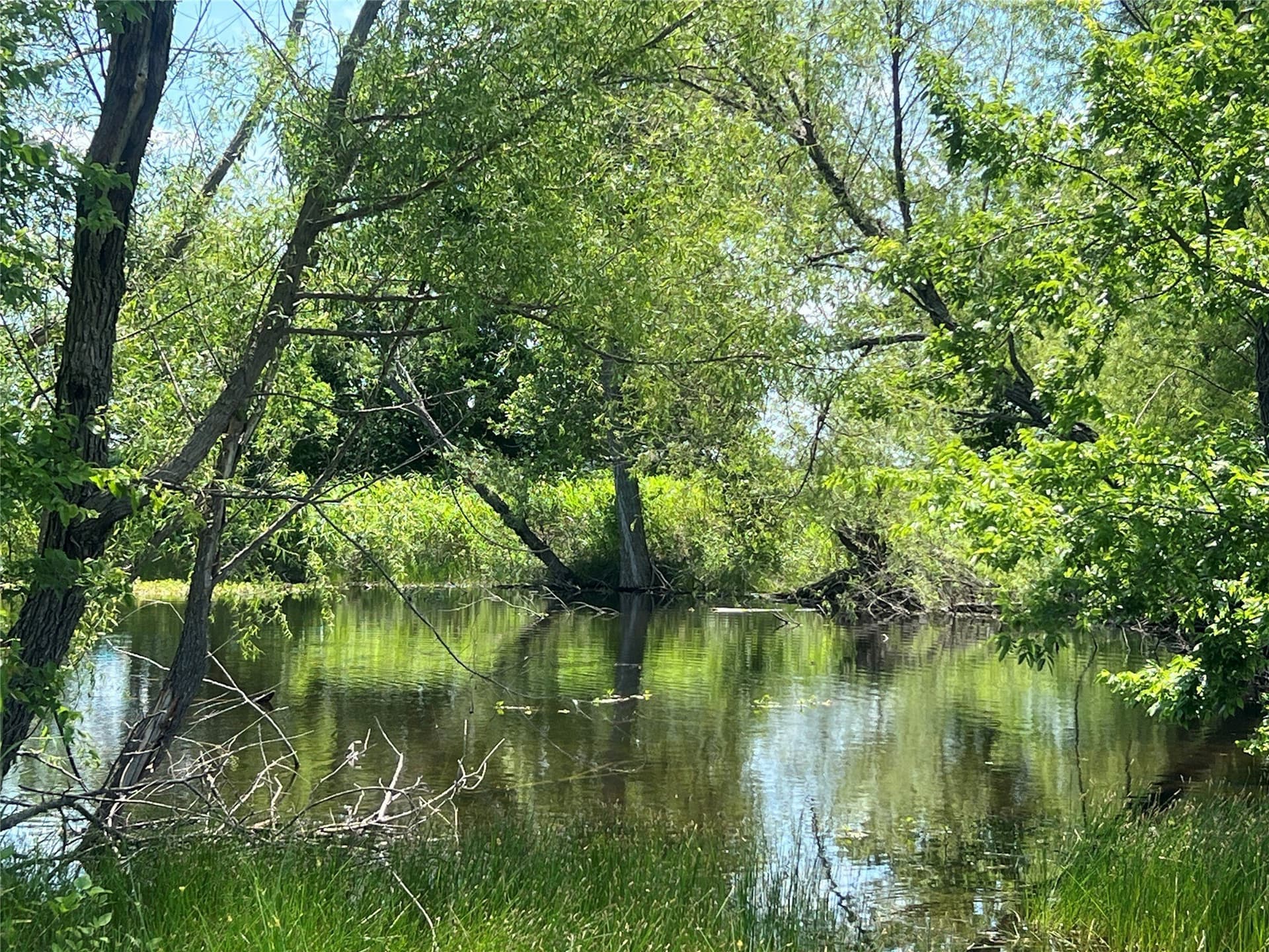 10.1 acres in Hill County - photo 16