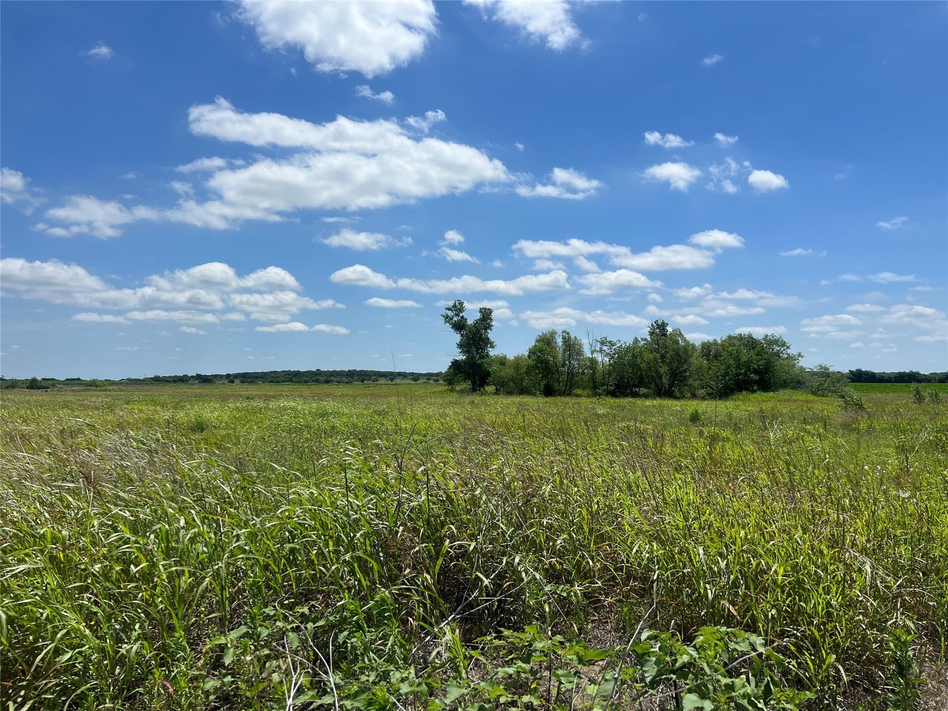 10.1 acres in Hill County - photo 21
