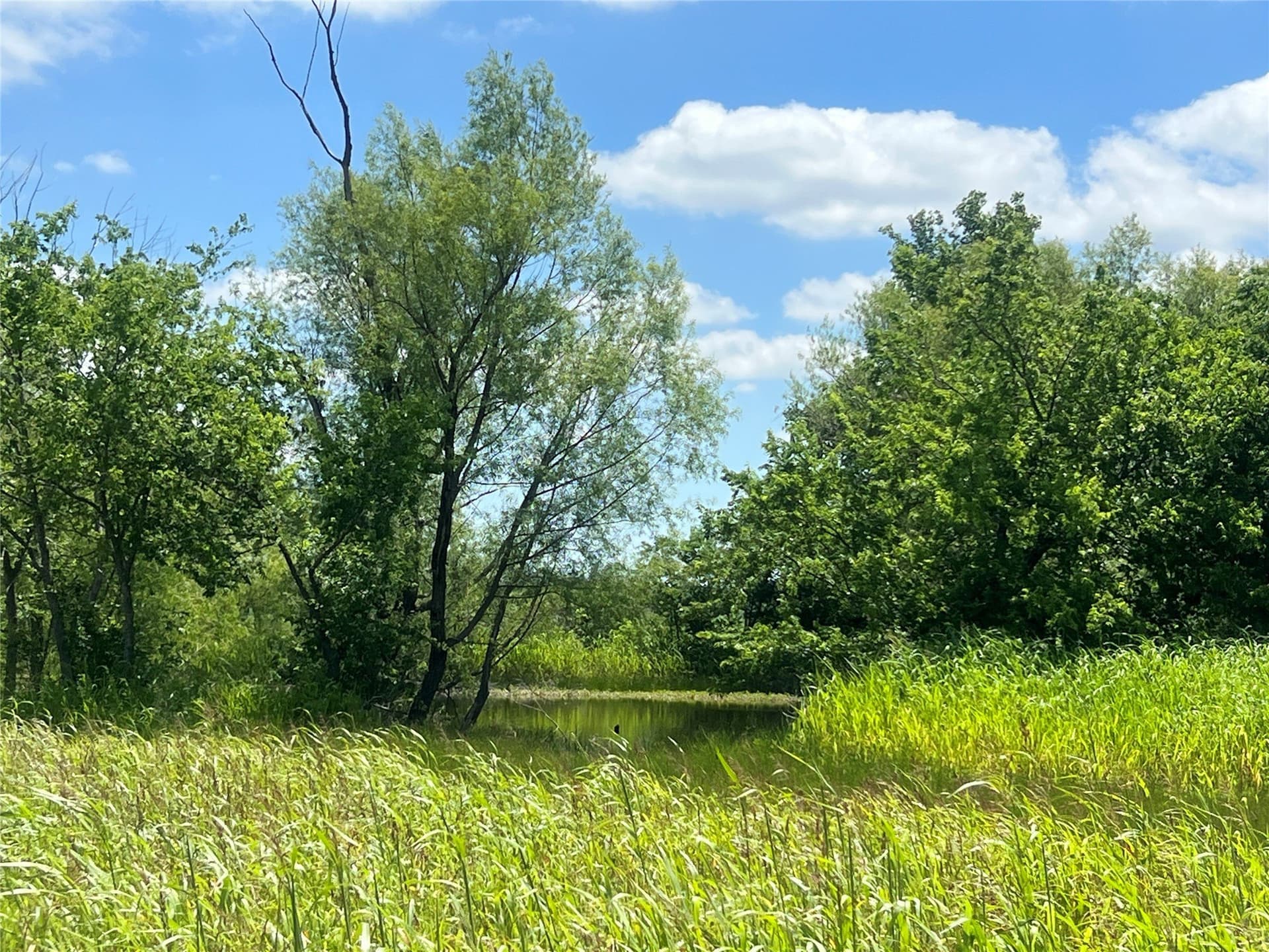 10.1 acres in Hill County - photo 20