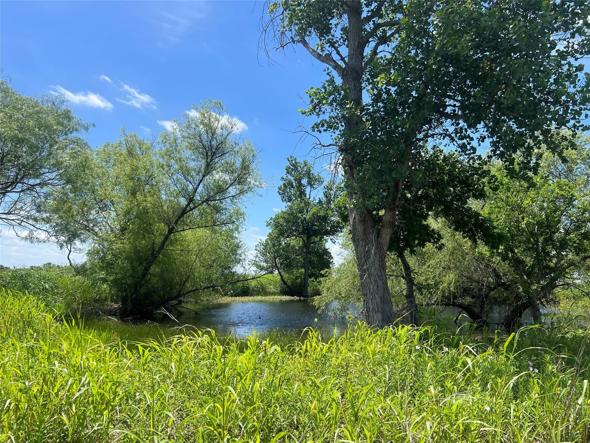 10.1 acres in Hill County - photo 14
