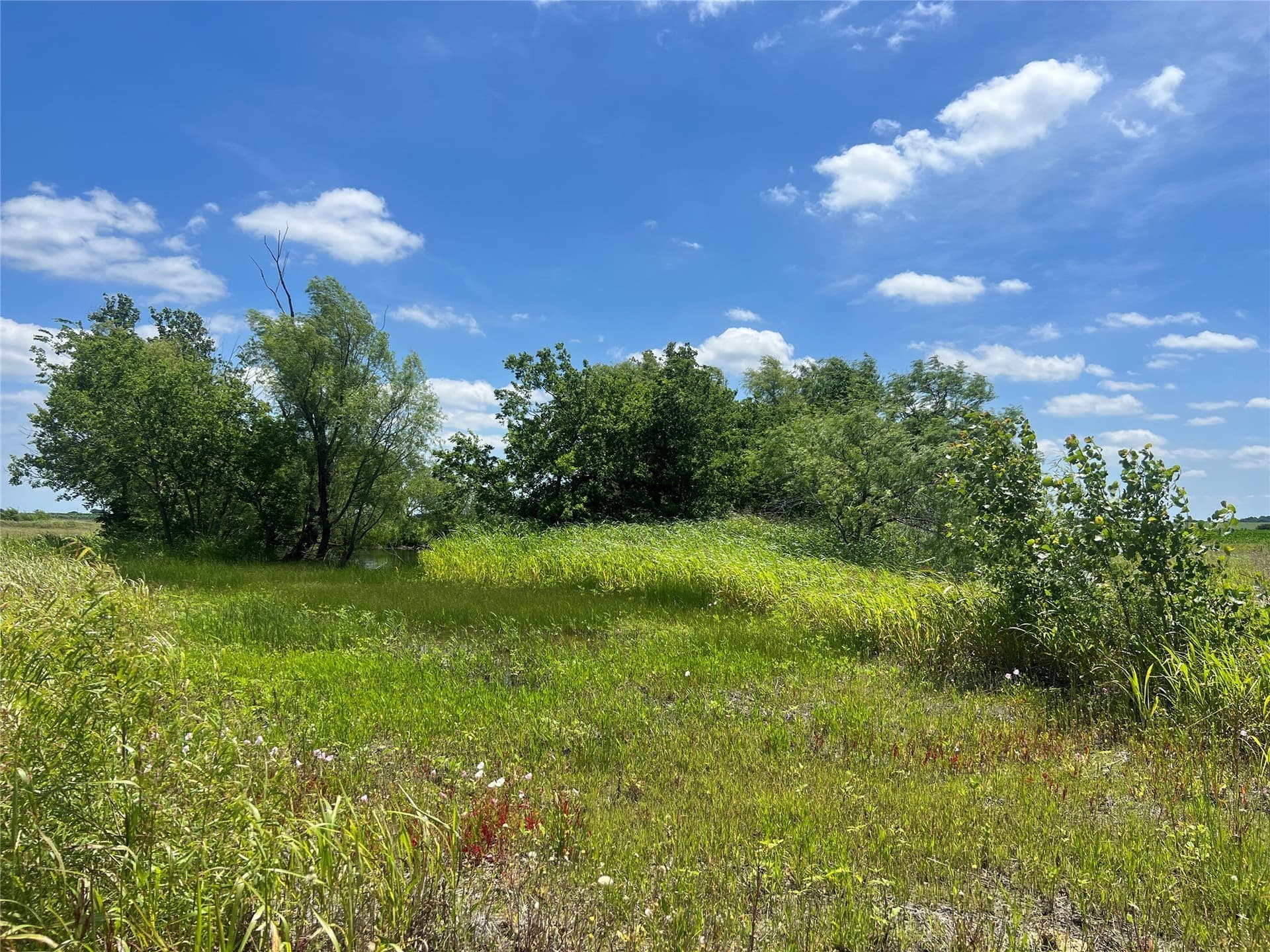 10.1 acres in Hill County - photo 8