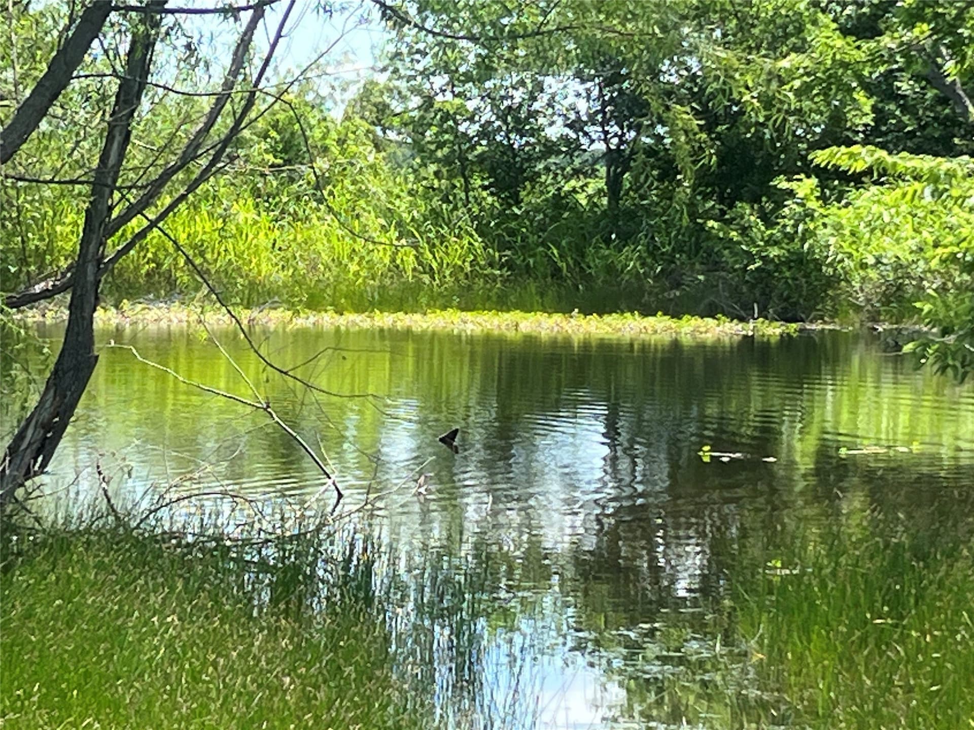 10.1 acres in Hill County - photo 17